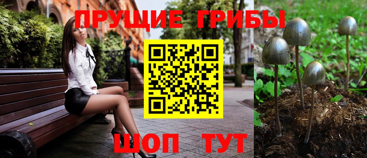 Ковров  Псилоцибиновые грибы ЛСД  Вход с VPN 